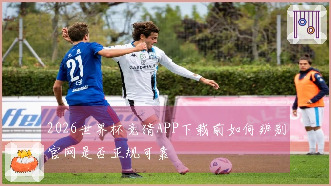 2026世界杯竞猜APP下载前如何辨别官网是否正规可靠