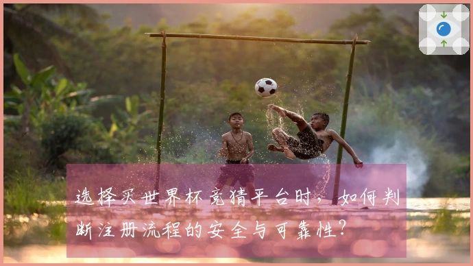 选择买世界杯竞猜平台时，如何判断注册流程的安全与可靠性？