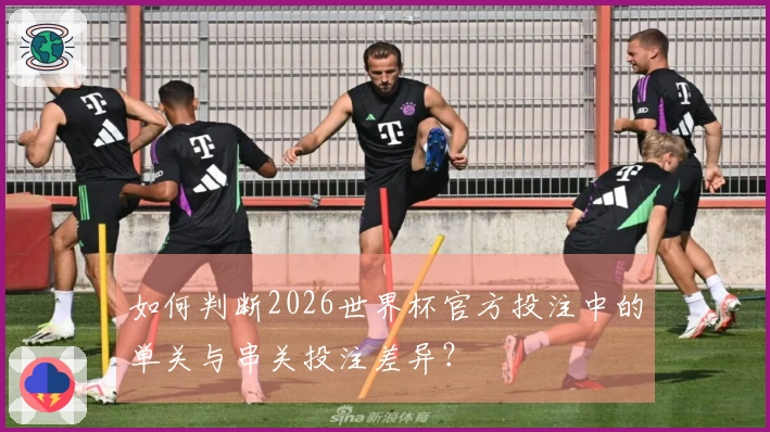 如何判断2026世界杯官方投注中的单关与串关投注差异？