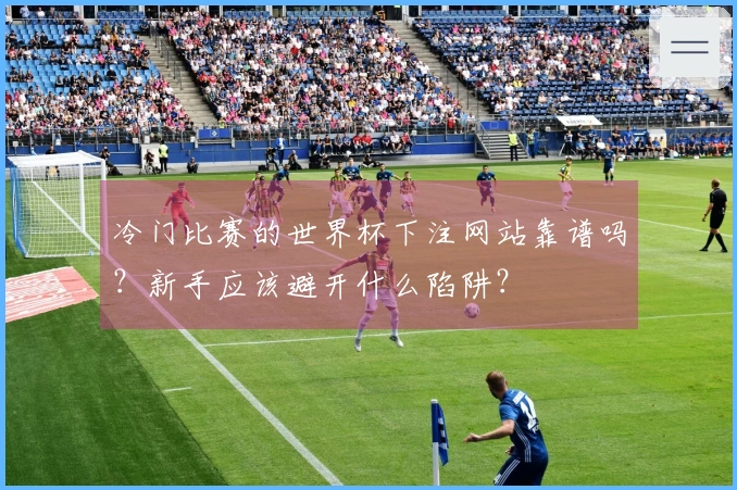 冷门比赛的世界杯下注网站靠谱吗？新手应该避开什么陷阱？