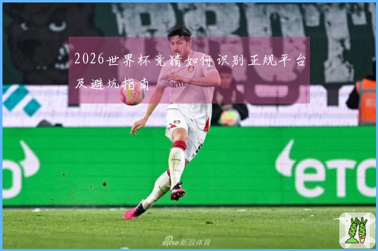 2026世界杯竞猜如何识别正规平台及避坑指南