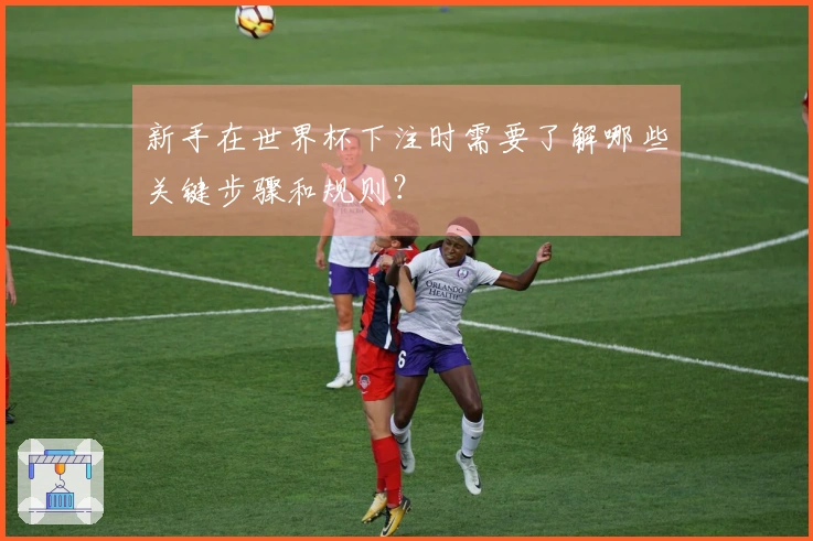 新手在世界杯下注时需要了解哪些关键步骤和规则？