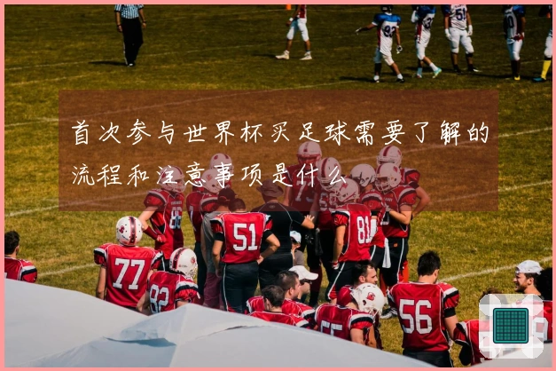 首次参与世界杯买足球需要了解的流程和注意事项是什么